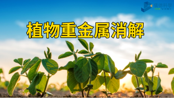 植物重金属消解分析——智能石墨消解仪